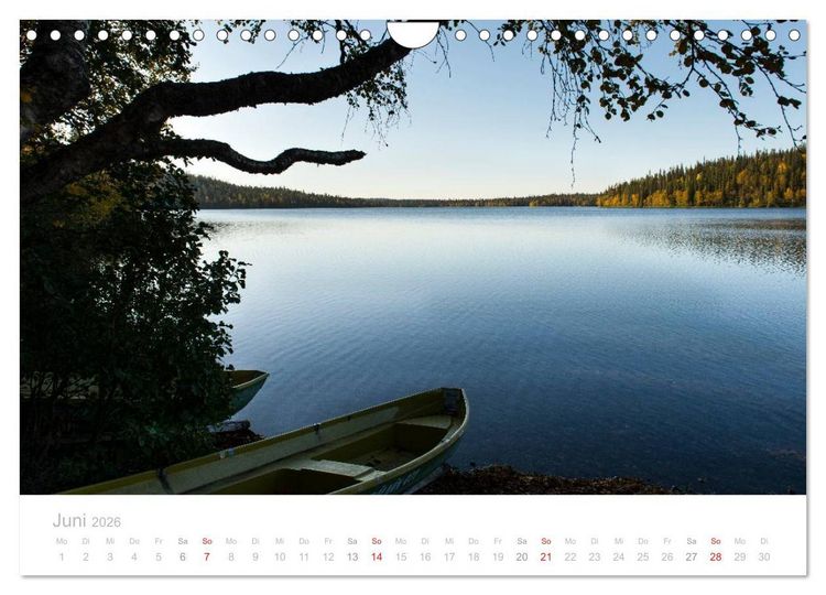 Produktbild: Heimat der Samen (Wandkalender 2026 DIN A4 quer), CALVENDO Monatskalender