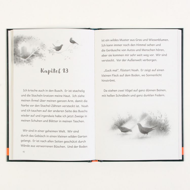 Produktbild: Der Gesang des Vogels