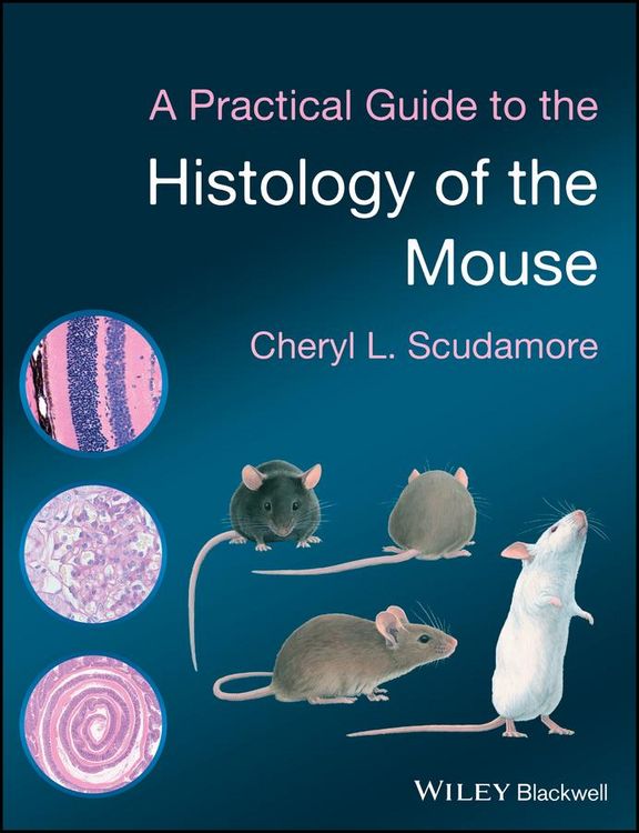 Produktbild: A Practical Guide to the Histology of the Mouse