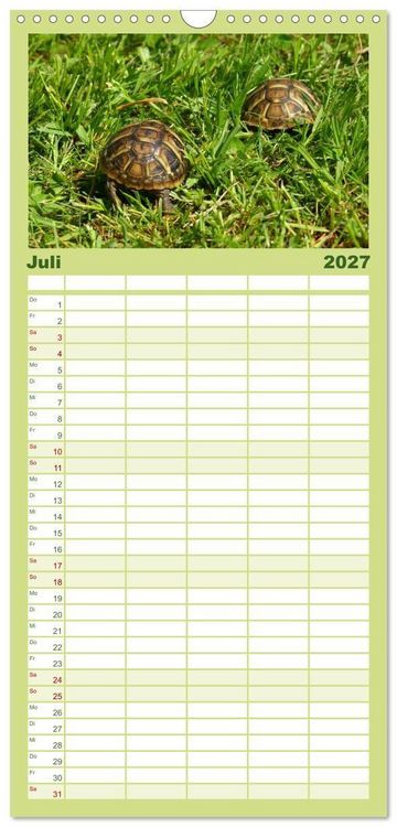 Produktbild: Familienplaner 2027 - Das Leben der Schildkr&ouml;ten mit 5 Spalten (Wandkalender, 21 x 45 cm) CALVENDO