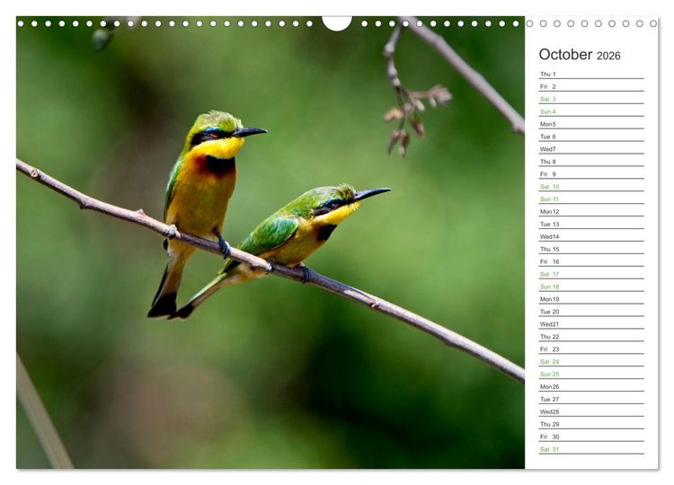 Produktbild: Kenya - its Wildlife (Wall Calendar 2026 DIN A3 landscape), CALVENDO 12 Month Wall Calendar