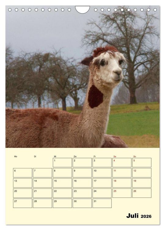 Produktbild: Alpakas erleben (Wandkalender 2026 DIN A4 hoch), CALVENDO Monatskalender
