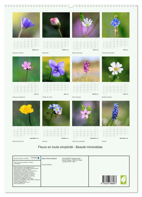 Produktbild: Fleurs en toute simplicit&eacute; - Beaut&eacute; minimaliste (Calendrier mural 2026 DIN A2 horizontal) calendrier de bureau