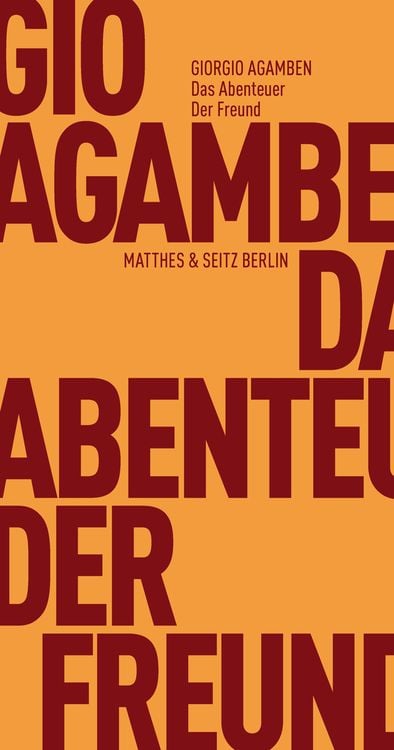 Bild vom Artikel Das Abenteuer. Der Freund vom Autor Giorgio Agamben