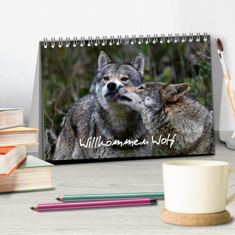 Produktbild: Willkommen Wolf (Tischkalender 2026 DIN A5 quer), CALVENDO Monatskalender