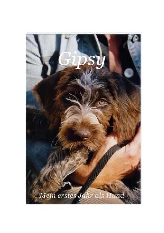 Produktbild: Gipsy - Mein erstes Jahr als Hund