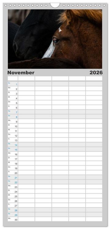 Produktbild: Familienplaner 2026 - Islandpferde Kalender - Pferde von der Insel aus Feuer und Eis mit 5 Spalten (Wandkalender, 21 x 45 cm) CALVENDO