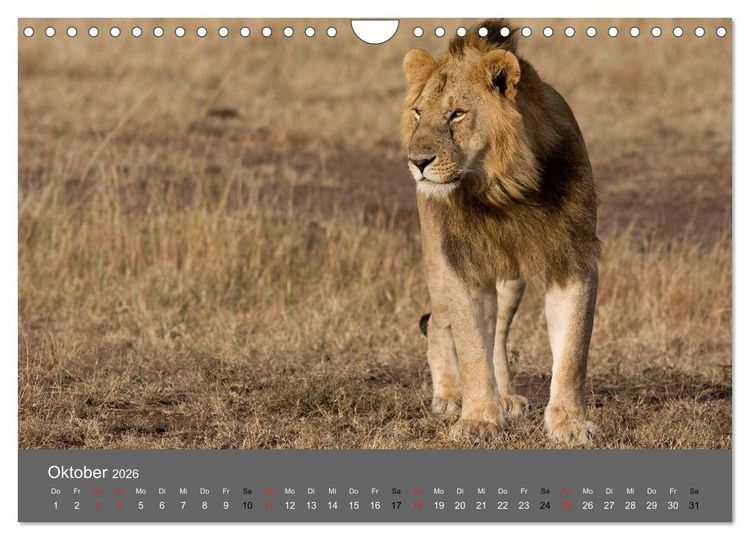 Produktbild: Ich tr&auml;umte von Afrika (Wandkalender 2026 DIN A4 quer), CALVENDO Monatskalender
