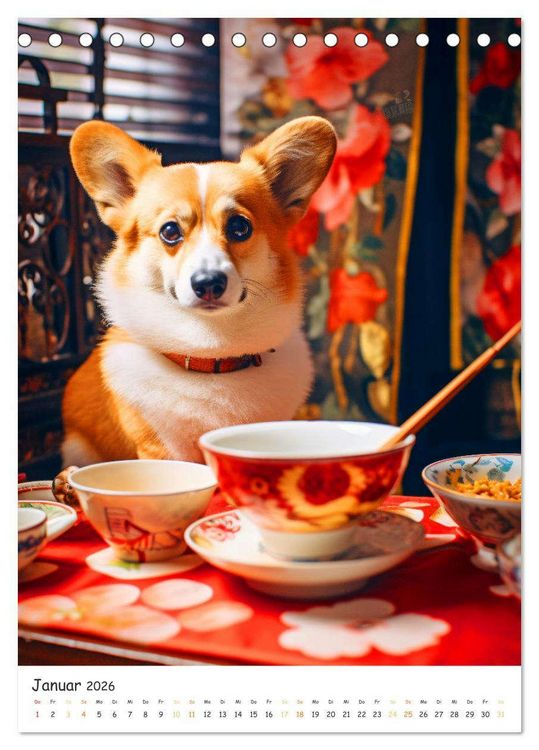Produktbild: Hunde & Ramen - Ein Jahr voller Genuss und Freude (Tischkalender 2026 DIN A5 hoch), CALVENDO Monatskalender