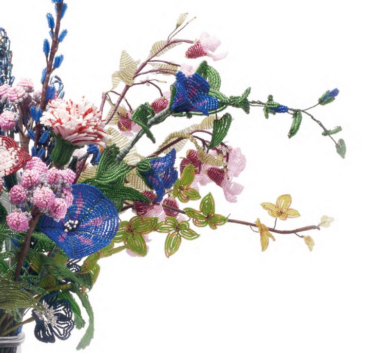Produktbild: Flora ad infinitum