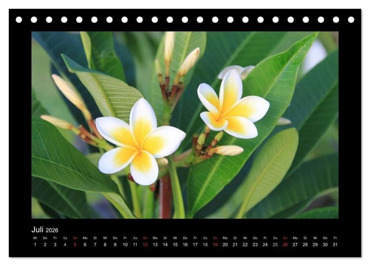 Produktbild: Mauritius - traumhaft und unvergesslich (Tischkalender 2026 DIN A5 quer), CALVENDO Monatskalender