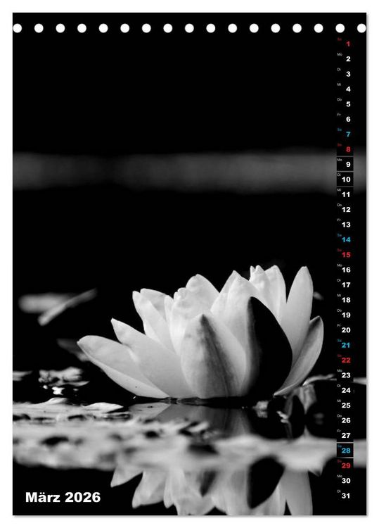 Produktbild: Blumige Graustufen - Schwarz und Wei&szlig; (Tischkalender 2026 DIN A5 hoch), CALVENDO Monatskalender