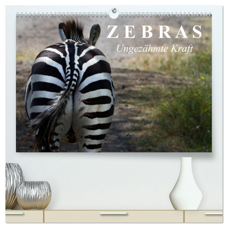 Produktbild: Zebras - Ungez&auml;hmte Kraft (hochwertiger Premium Wandkalender 2026 DIN A2 quer), Kunstdruck in Hochglanz