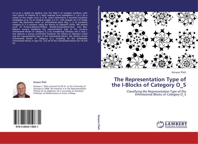 Produktbild: The Representation Type of the I-Blocks of Category O_S