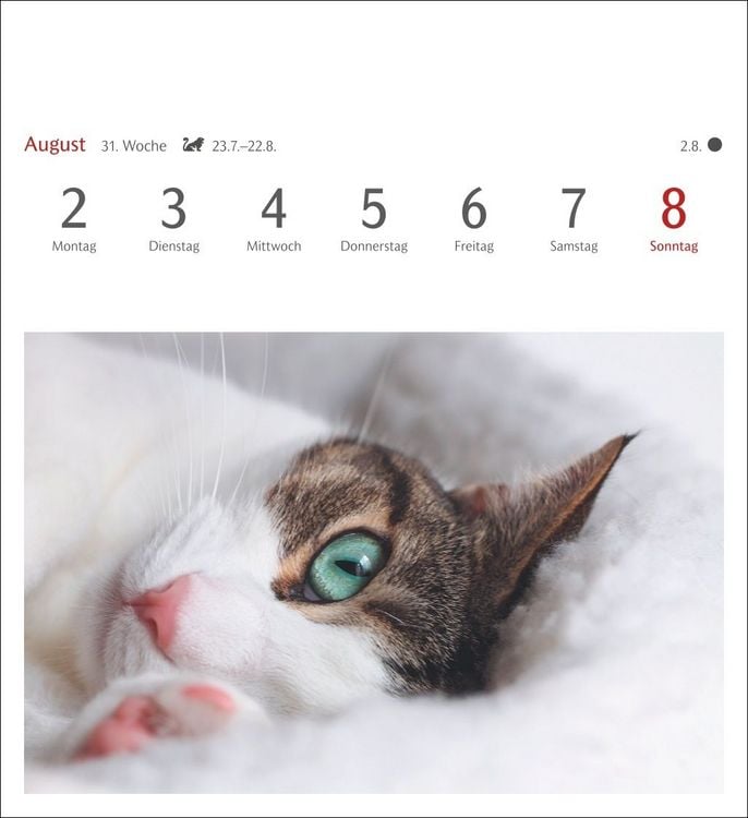 Produktbild: Katzen Postkartenkalender 2027 - Wochenkalender mit 53 Postkarten
