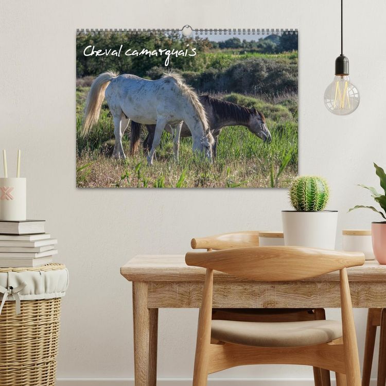 Produktbild: Cheval camarguais (Calendrier mural 2026 DIN A3 vertical), CALVENDO calendrier mensuel