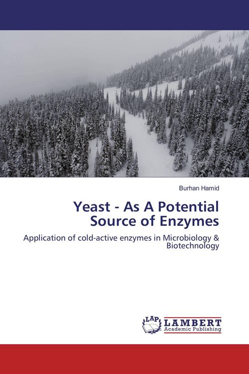 Produktbild: Yeast - As A Potential Source of Enzymes