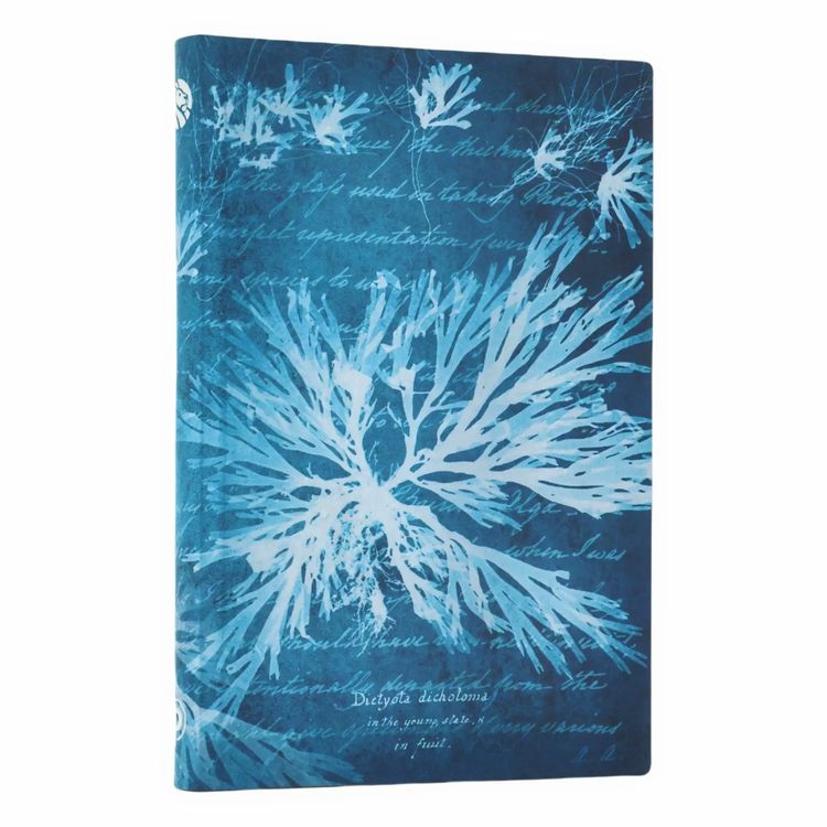 Produktbild: Notizbuch, Meeresblumen, Mini, Liniert