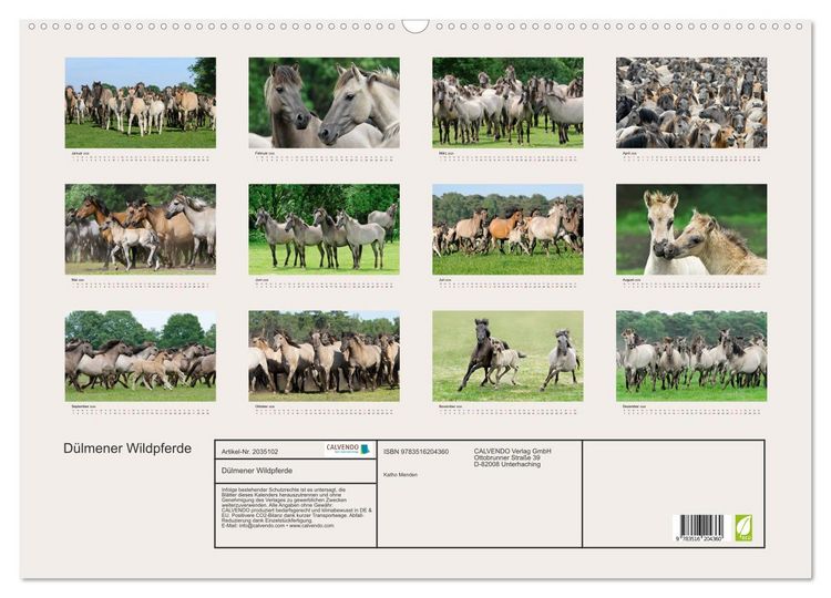 Produktbild: D&uuml;lmener Wildpferde (Wandkalender 2026 DIN A2 quer), CALVENDO Monatskalender