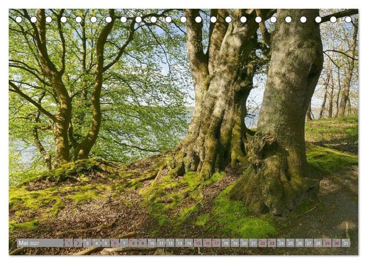 Produktbild: Am sch&ouml;nsten Uferabschnitt der Schlei (Tischkalender 2027 DIN A5 quer), CALVENDO Monatskalender