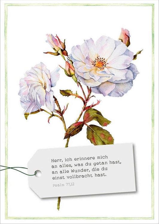 Produktbild: GartenGl&uuml;ck - Postkartenset
