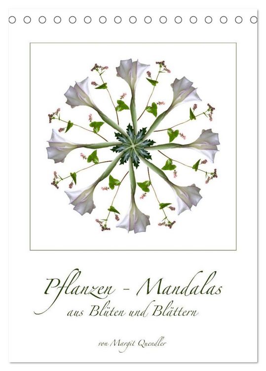 Produktbild: Pflanzen - Mandalas aus Bl&uuml;ten und Bl&auml;ttern (Tischkalender 2026 DIN A5 hoch), CALVENDO Monatskalender
