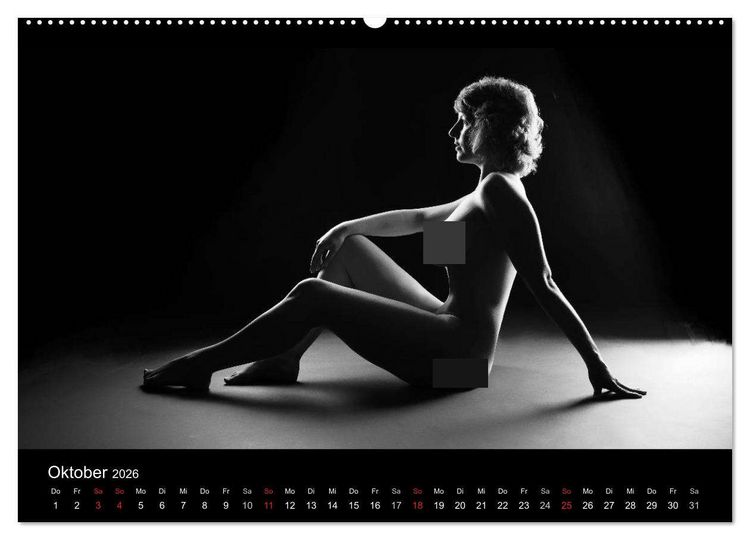 Produktbild: Kunstakt (Wandkalender 2026 DIN A2 quer), CALVENDO Monatskalender