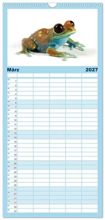 Produktbild: Familienplaner 2027 - Farbenpracht der Fr&ouml;sche mit 5 Spalten (Wandkalender, 21 x 45 cm) CALVENDO