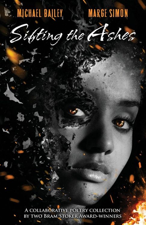 Produktbild: Sifting the Ashes