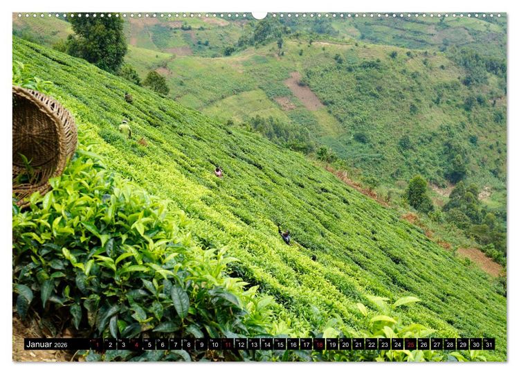 Produktbild: Afrikas Perle Uganda (Wandkalender 2026 DIN A2 quer), CALVENDO Monatskalender