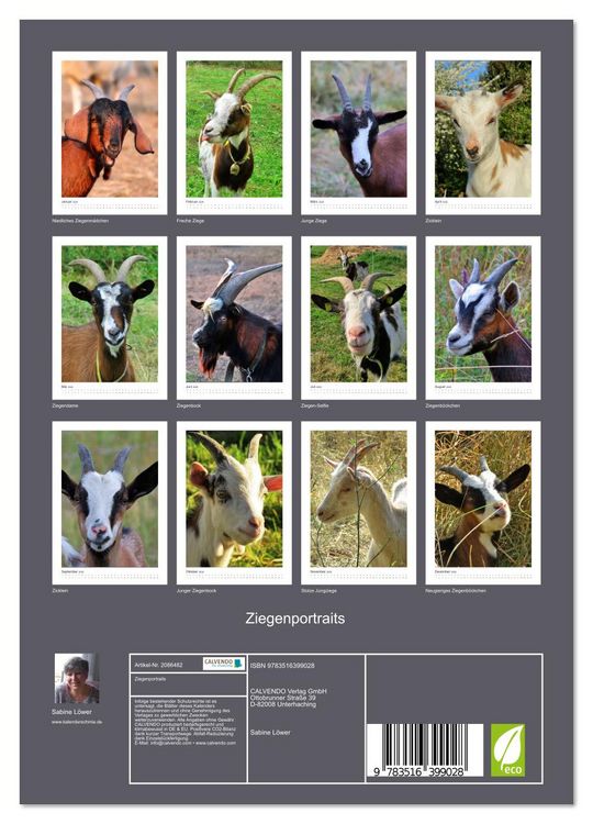 Produktbild: Ziegenportraits (Wandkalender 2026 DIN A4 hoch), CALVENDO Monatskalender
