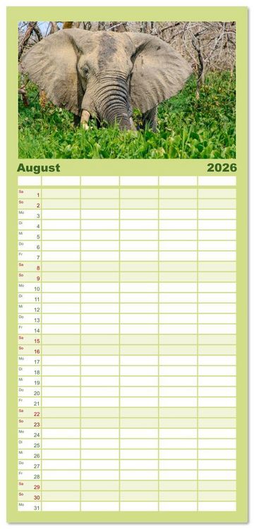 Produktbild: Familienplaner 2026 - Elefanten Begegnungen im &ouml;stlichen und s&uuml;dlichen Afrika mit 5 Spalten (Wandkalender, 21 x 45 cm) CALVENDO