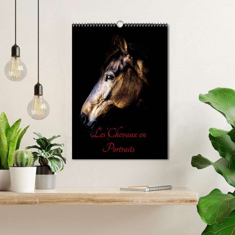 Produktbild: Chevaux en Portraits (Calendrier mural 2026 DIN A3 horizontal), CALVENDO calendrier mensuel