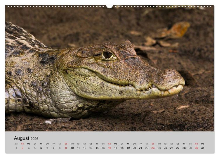 Produktbild: Costa Rica (Wandkalender 2026 DIN A2 quer), CALVENDO Monatskalender