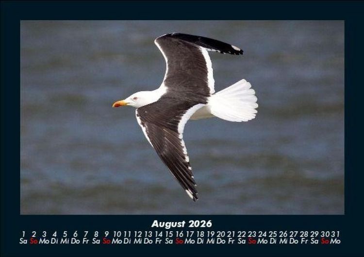 Produktbild: Vogelparadies 2026 Fotokalender DIN A5