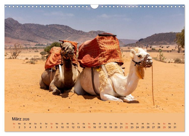 Produktbild: Abenteuer Marokko - eine Reise durch die Region Sous-Massa (Wandkalender 2026 DIN A3 quer), CALVENDO Monatskalender