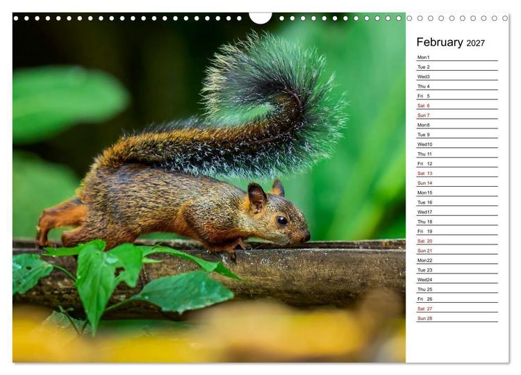Produktbild: Feel the Wild &ndash; Costa Rica (Wall Calendar 2027 DIN A3 landscape), CALVENDO 12 Month Wall Calendar