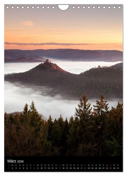 Produktbild: NATURWUNDER PF&Auml;LZERWALD (Wandkalender 2026 DIN A4 hoch), CALVENDO Monatskalender