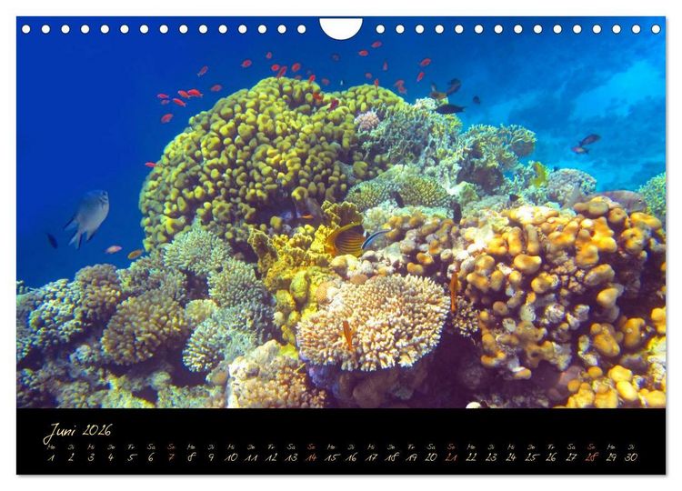 Produktbild: &Auml;gypten - Eine Entdeckungsreise (Wandkalender 2026 DIN A4 quer), CALVENDO Monatskalender