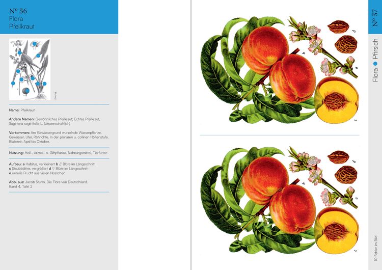 Produktbild: Finde den Fehler &ndash; 50 Botanische Illustrationen