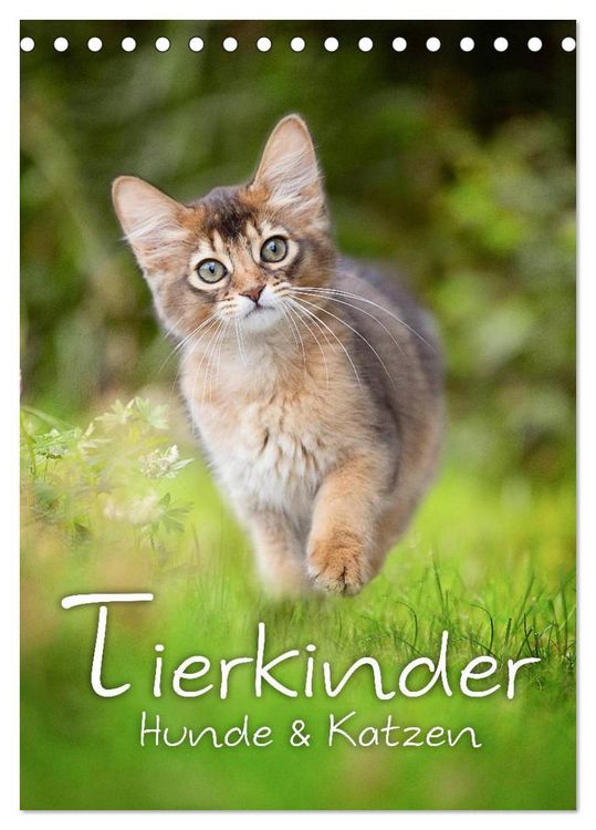 Produktbild: Tierkinder Hunde und Katzen (Tischkalender 2026 DIN A5 hoch), CALVENDO Monatskalender