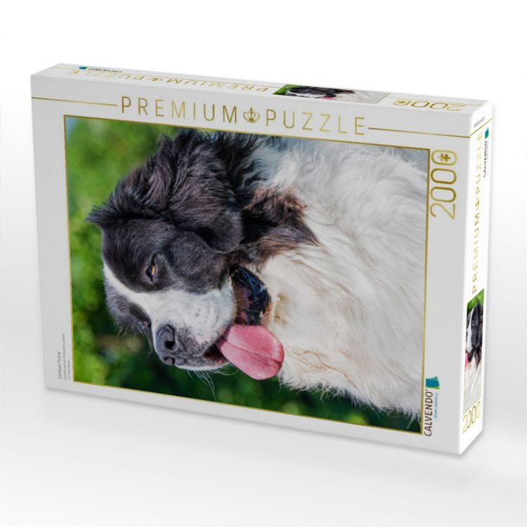 Produktbild: CALVENDO Puzzle Landseer Portr&auml;t | 2000 Teile Lege-Gr&ouml;&szlig;e 90x67cm Foto-Puzzle f&uuml;r gl&uuml;ckliche Stunden