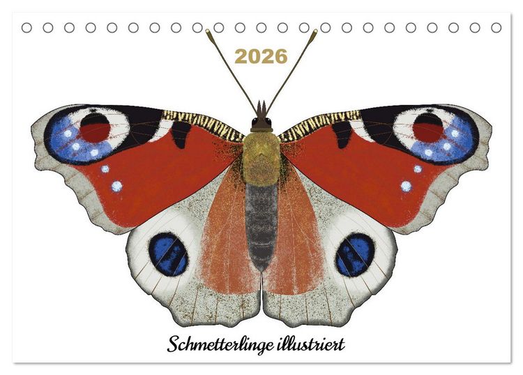 Produktbild: Schmetterlinge illustriert (Tischkalender 2026 DIN A5 quer), CALVENDO Monatskalender