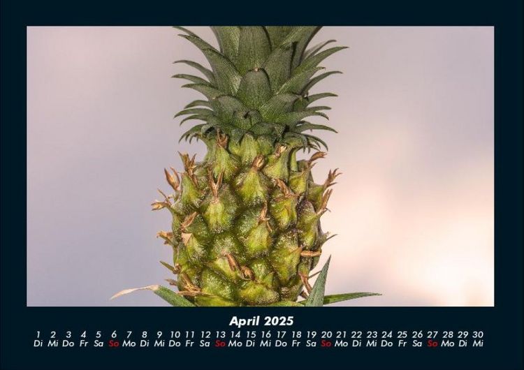 Produktbild: Obstkalender 2025 Fotokalender DIN A4