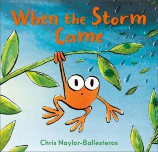 Produktbild: When the Storm Came