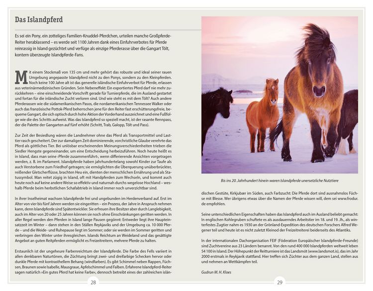 Produktbild: DuMont Reise-Handbuch Reisef&uuml;hrer Island