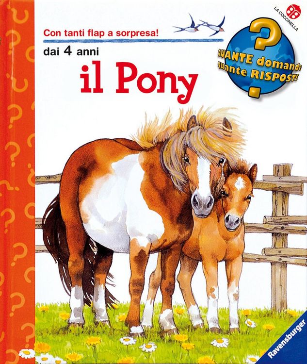 Produktbild: Il pony