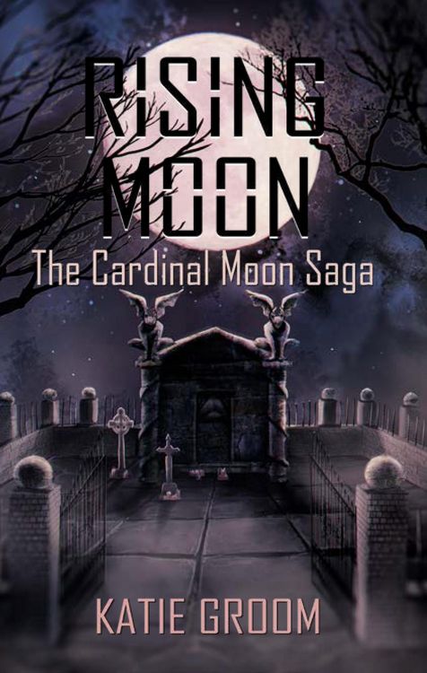 Produktbild: Rising Moon
