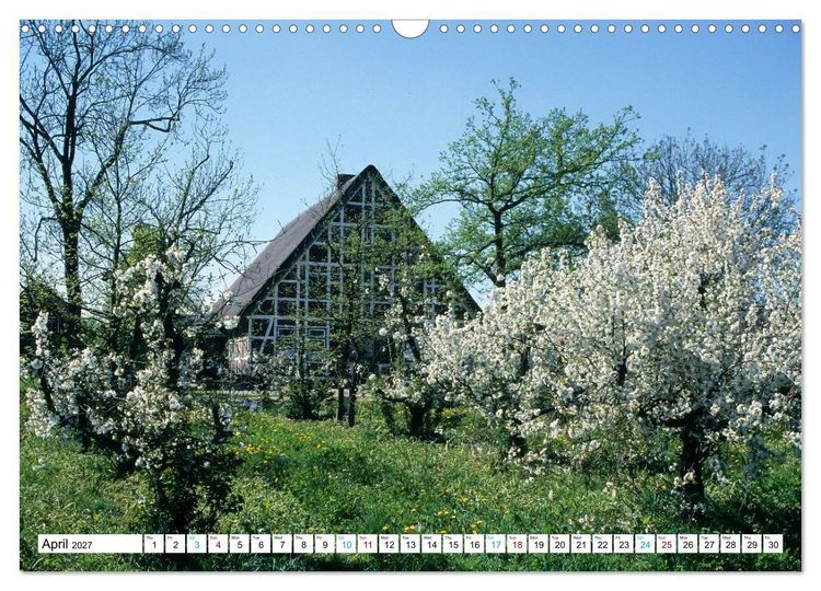 Produktbild: Germany&rsquo;s apple orchards near Hamburg (Wall Calendar 2027 DIN A3 landscape), CALVENDO 12 Month Wall Calendar