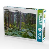 Produktbild: CALVENDO Puzzle Riesenzedernwald im Westen Kanadas 1000 Teile Lege-Gr&ouml;&szlig;e 64 x 48 cm Foto-Puzzle Bild von N N